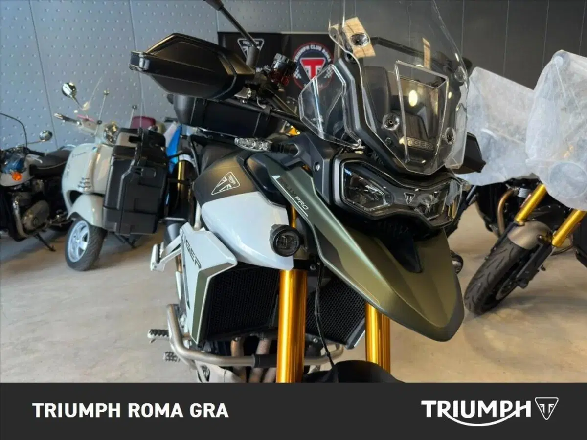 Triumph Tiger 900 Rally Pro (2024 - 26) (8)