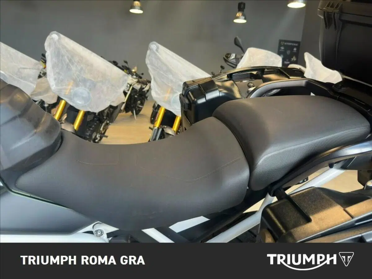 Triumph Tiger 900 Rally Pro (2024 - 26) (12)