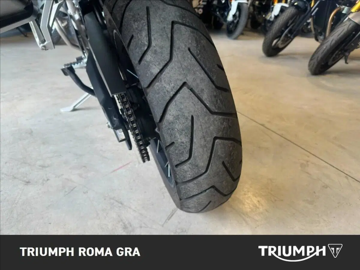 Triumph Tiger 900 Rally Pro (2024 - 26) (20)