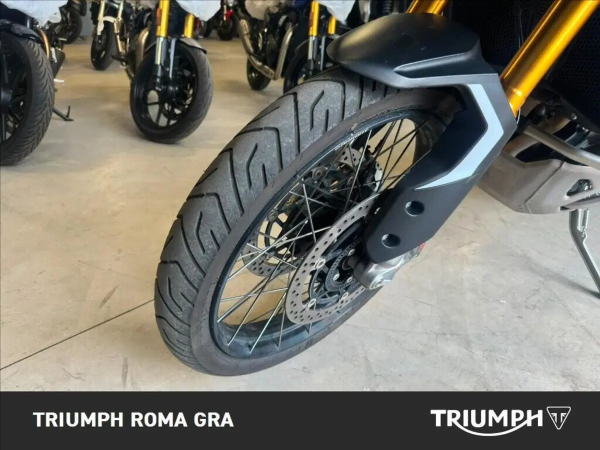 Triumph Tiger 900 Rally Pro (2024 - 26) (21)