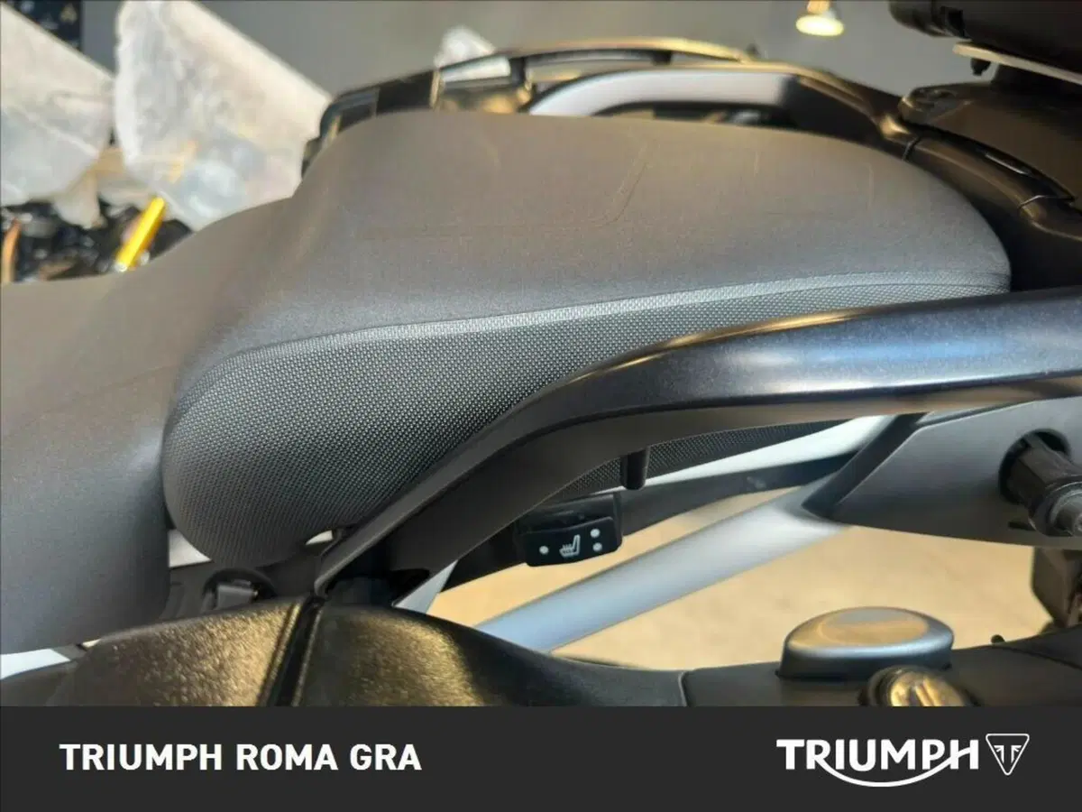 Triumph Tiger 900 Rally Pro (2024 - 26) (16)