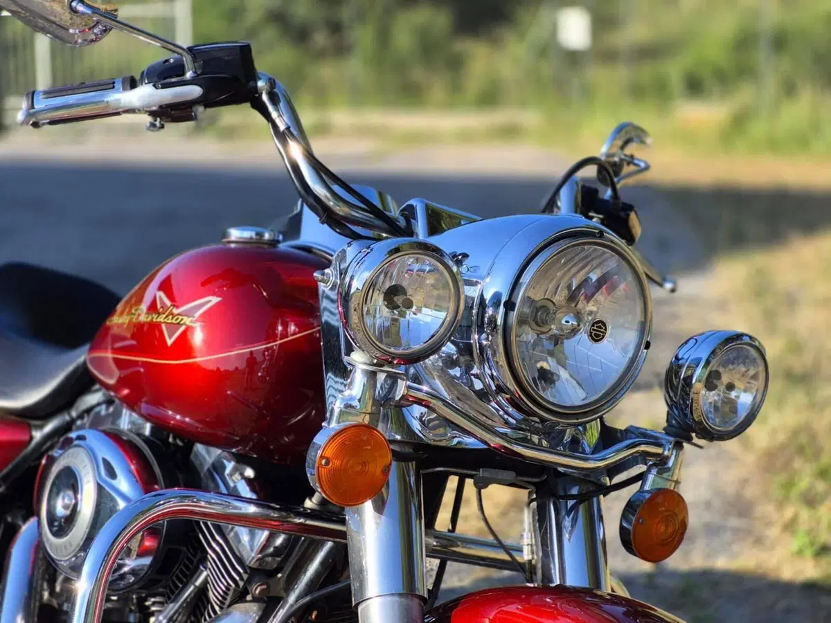 Harley-Davidson 1584 Road King Classic (2007 - 10) - FLHRC (2)