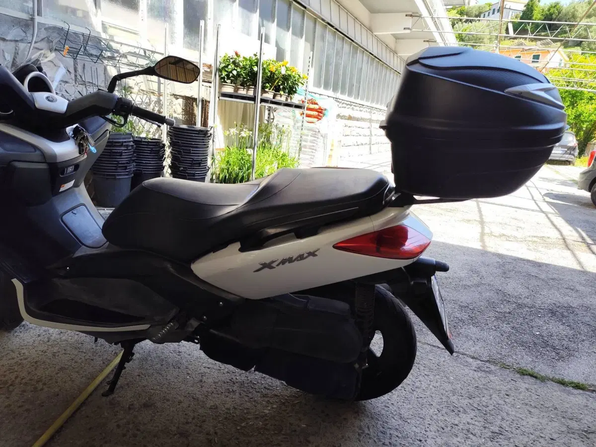 Yamaha X-Max 250 (2010 - 13) (4)