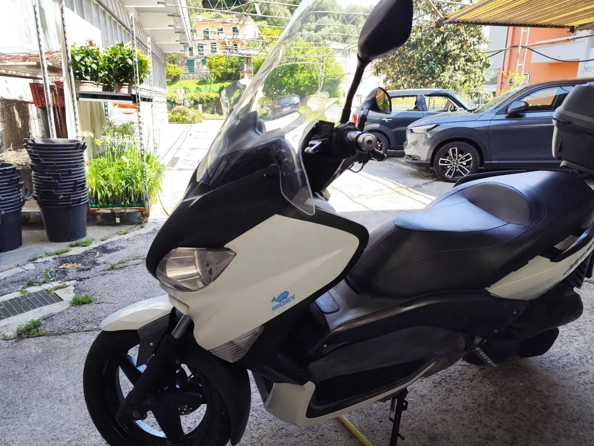 Yamaha X-Max 250 (2010 - 13) (5)