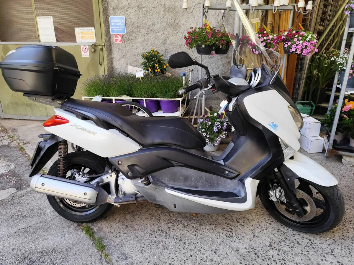 Yamaha X-Max 250 (2010 - 13) (7)