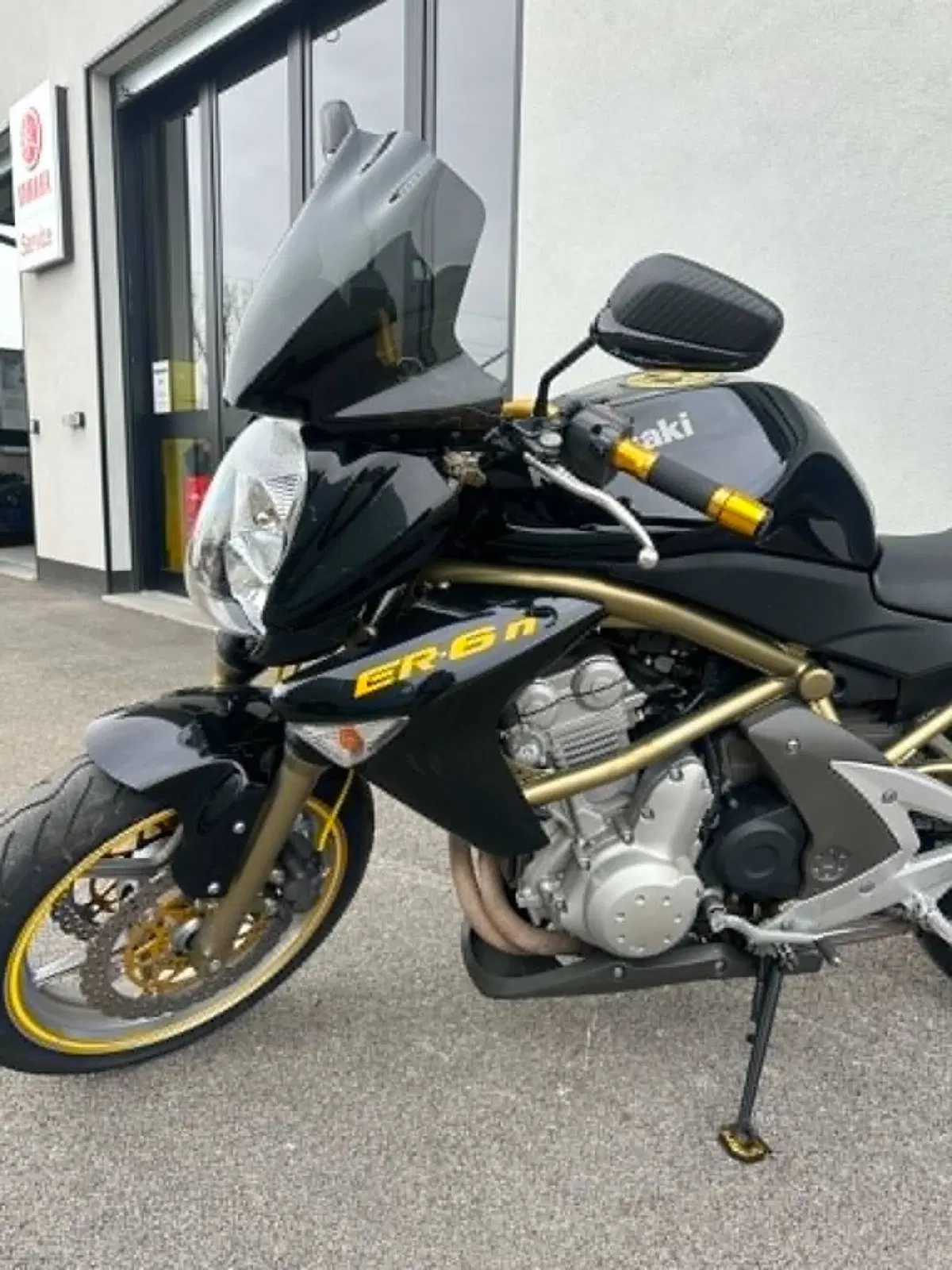 Kawasaki ER-6N (2006 - 09) (3)