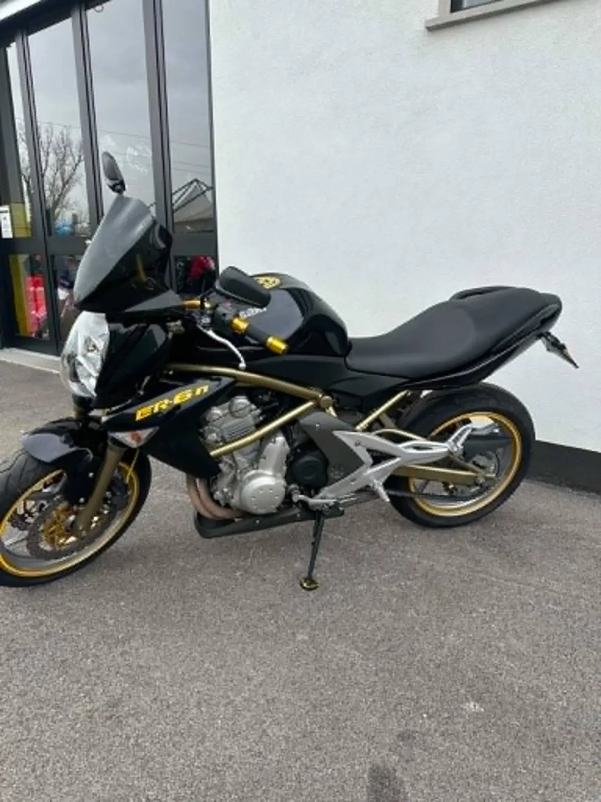 Kawasaki ER-6N (2006 - 09) (4)