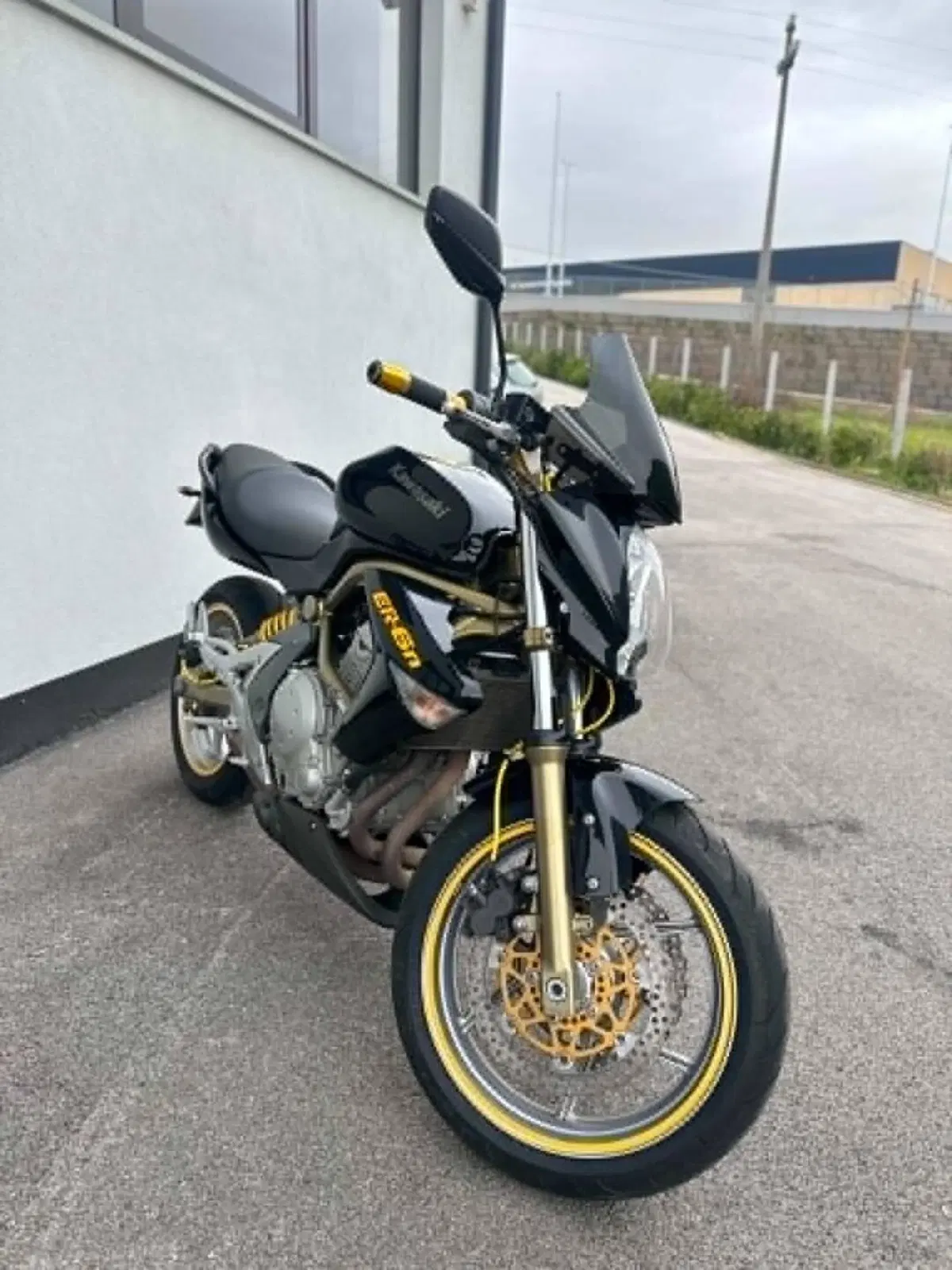 Kawasaki ER-6N (2006 - 09) (6)