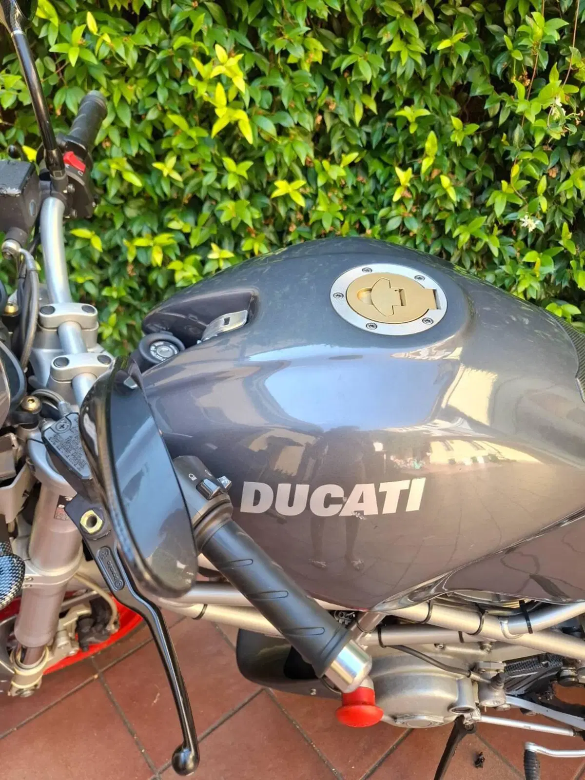 Ducati Monster 620 (2003 - 06) (7)