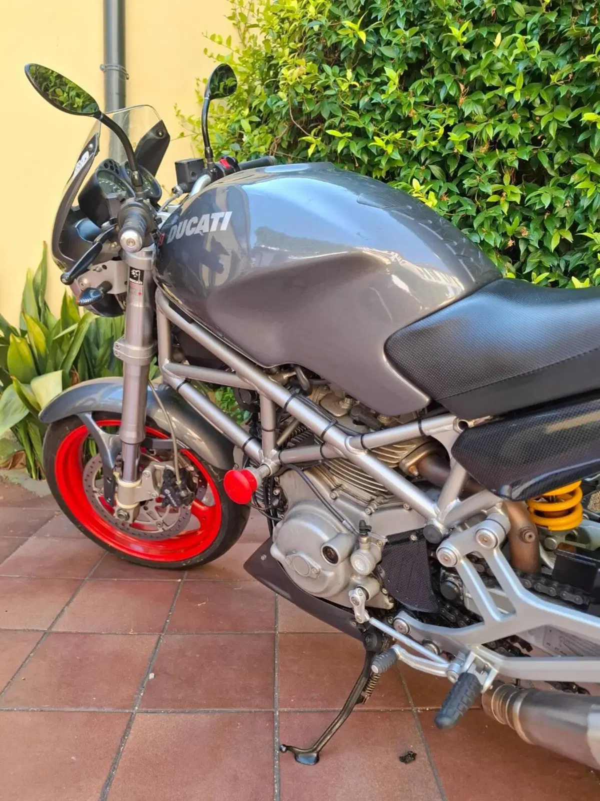 Ducati Monster 620 (2003 - 06) (8)