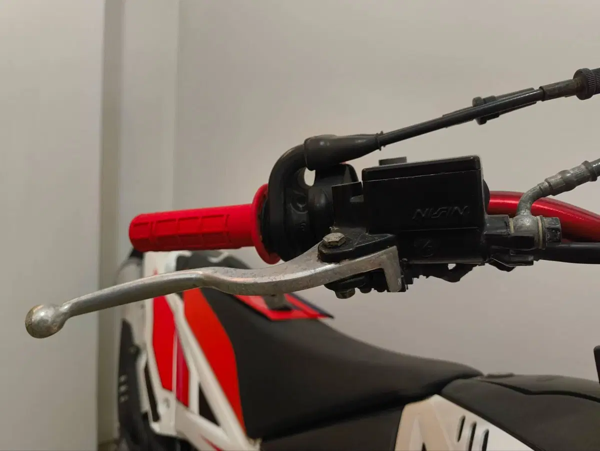 Betamotor RR 125 4T Enduro LC (2018 - 20) (13)
