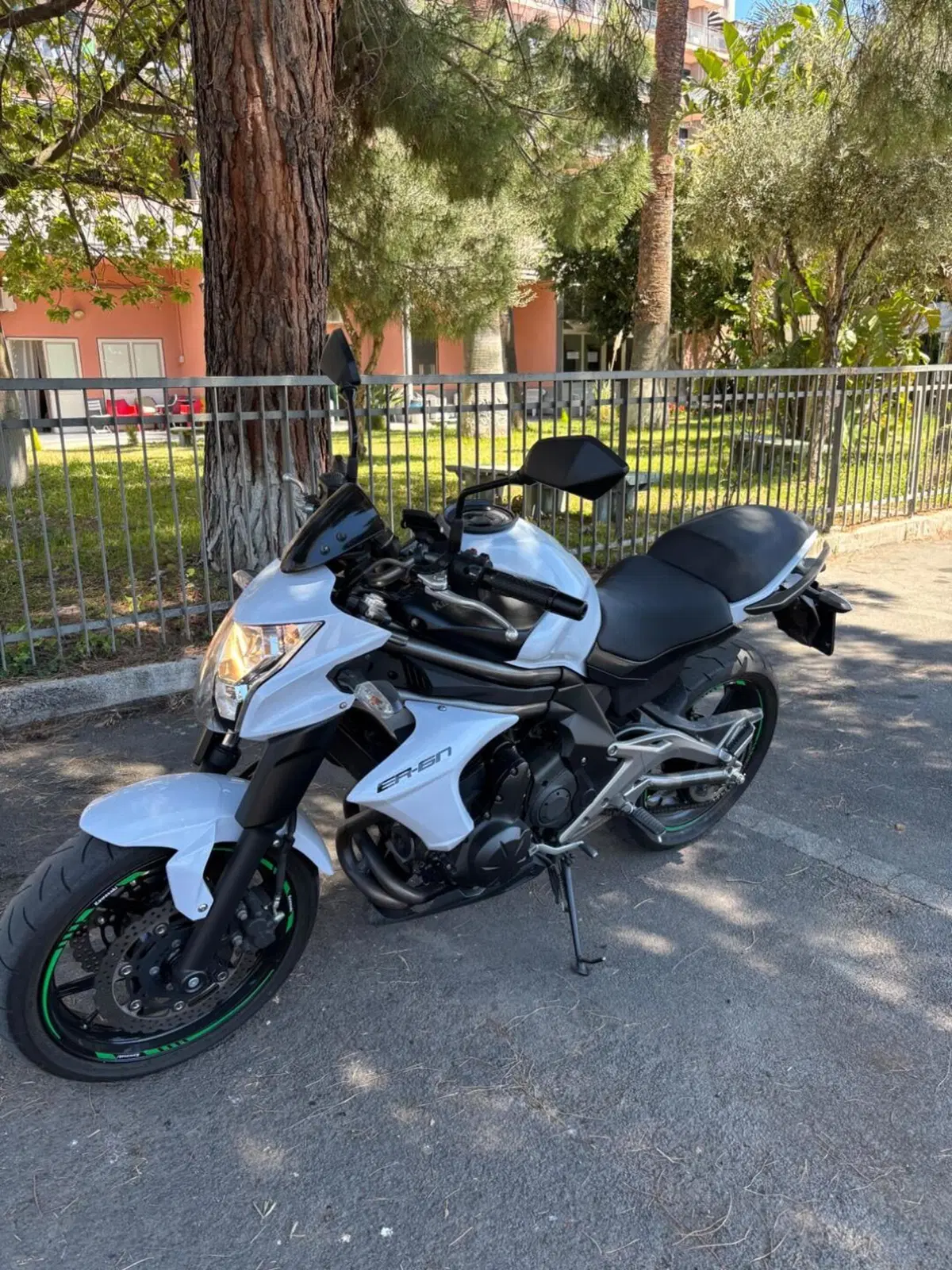 Kawasaki ER-6N (2012 - 13) (2)