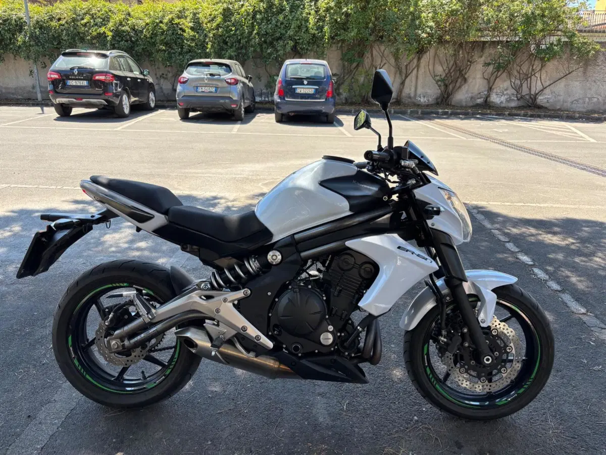 Kawasaki ER-6N (2012 - 13) (3)