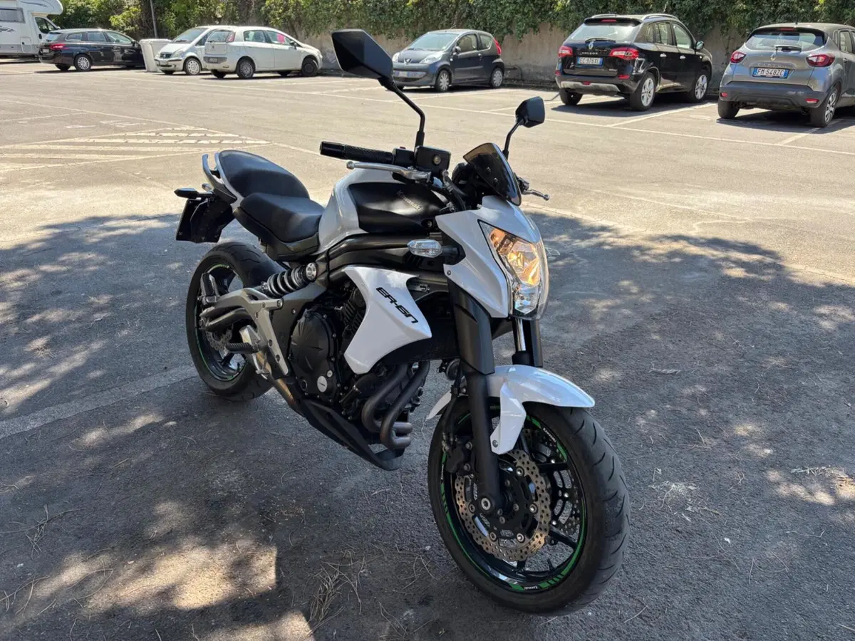Kawasaki ER-6N (2012 - 13) (4)