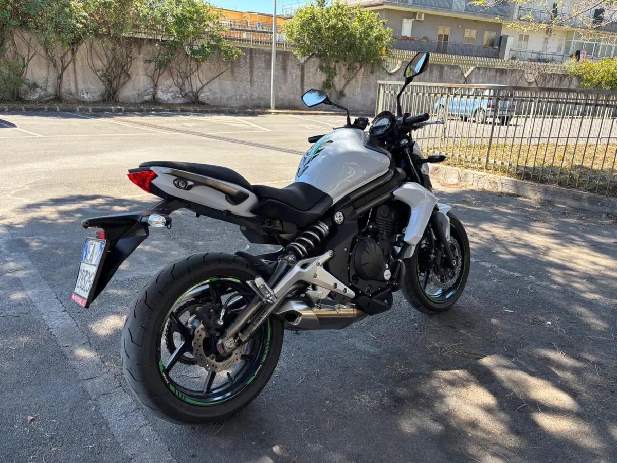 Kawasaki ER-6N (2012 - 13) (5)