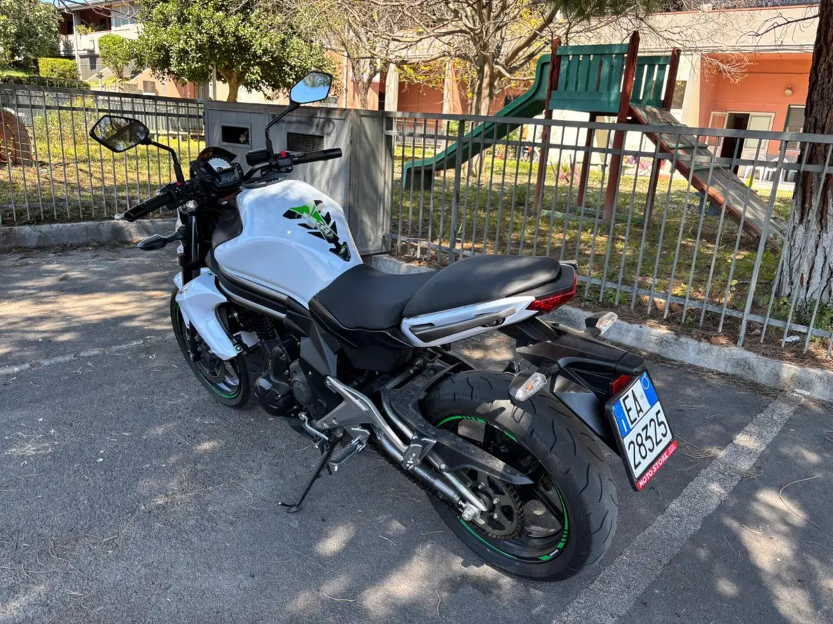 Kawasaki ER-6N (2012 - 13) (6)
