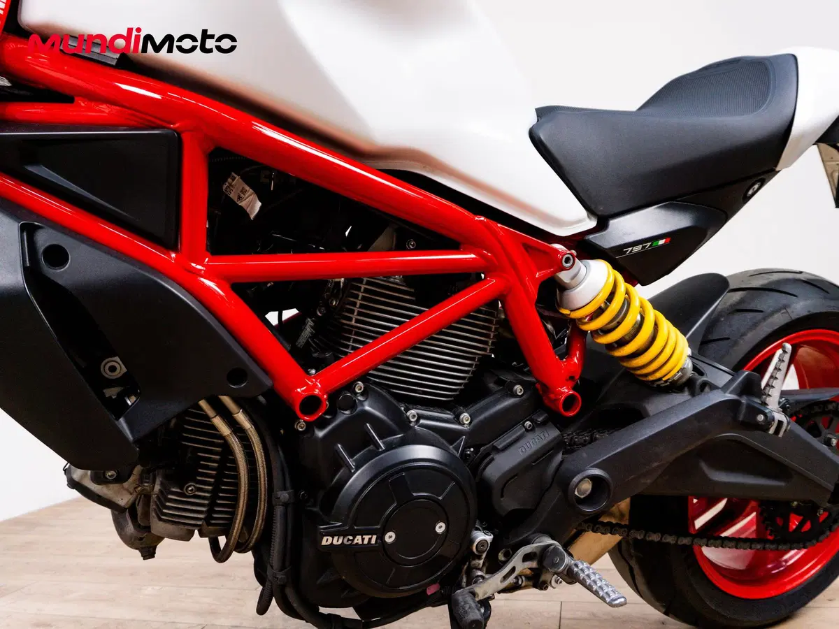 Ducati Monster 797 Plus (2019) (9)