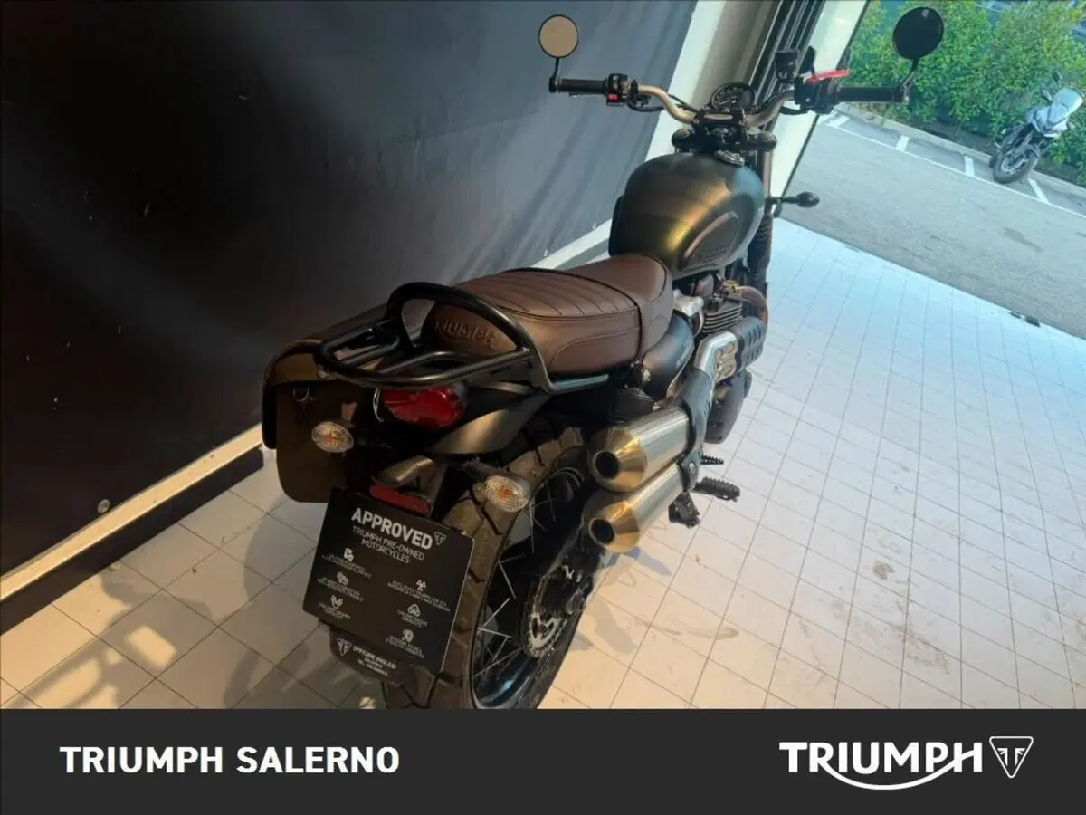 Triumph Street Scrambler 900 (2021 - 22) (6)