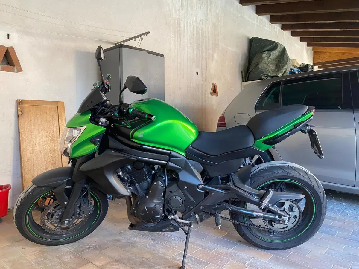 Kawasaki ER-6N ABS (2012 - 16) (3)