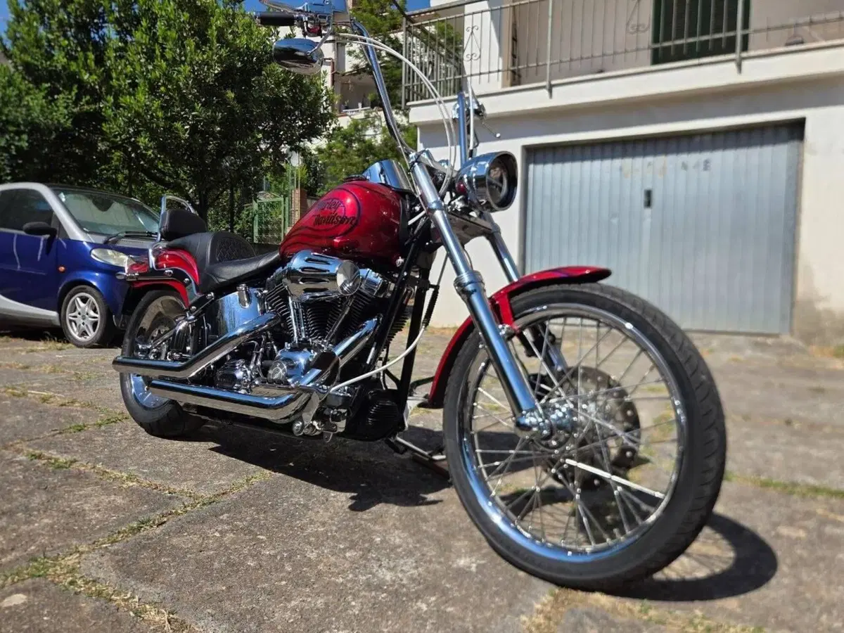 Harley-Davidson 1584 Custom (2008 - 09) - FXSTC