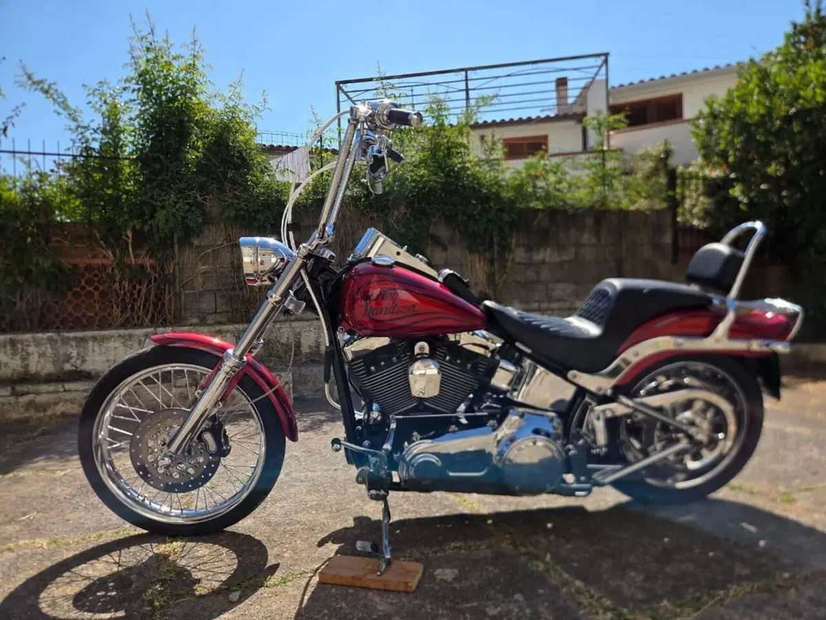 Harley-Davidson 1584 Custom (2008 - 09) - FXSTC (2)