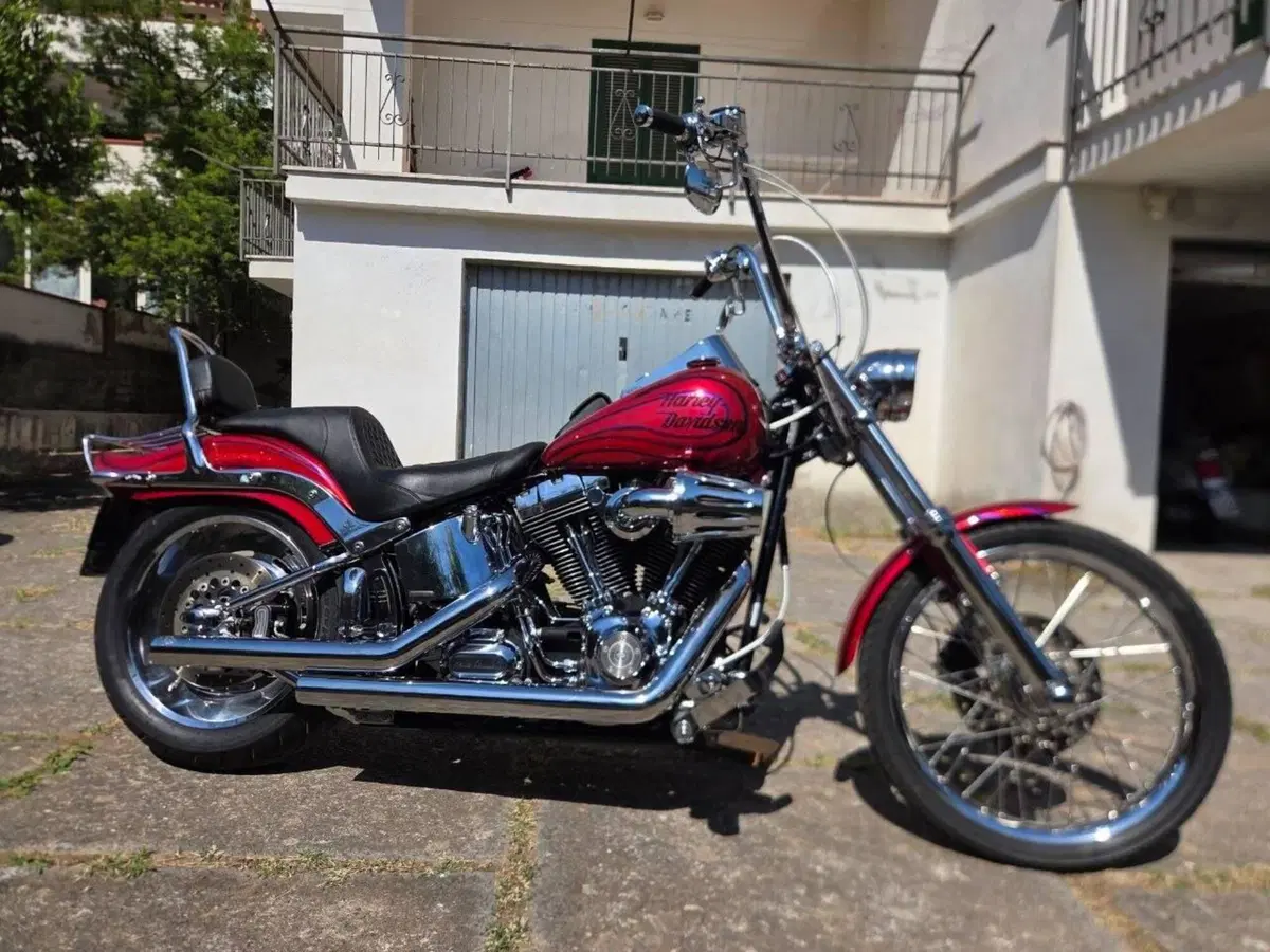 Harley-Davidson 1584 Custom (2008 - 09) - FXSTC (3)