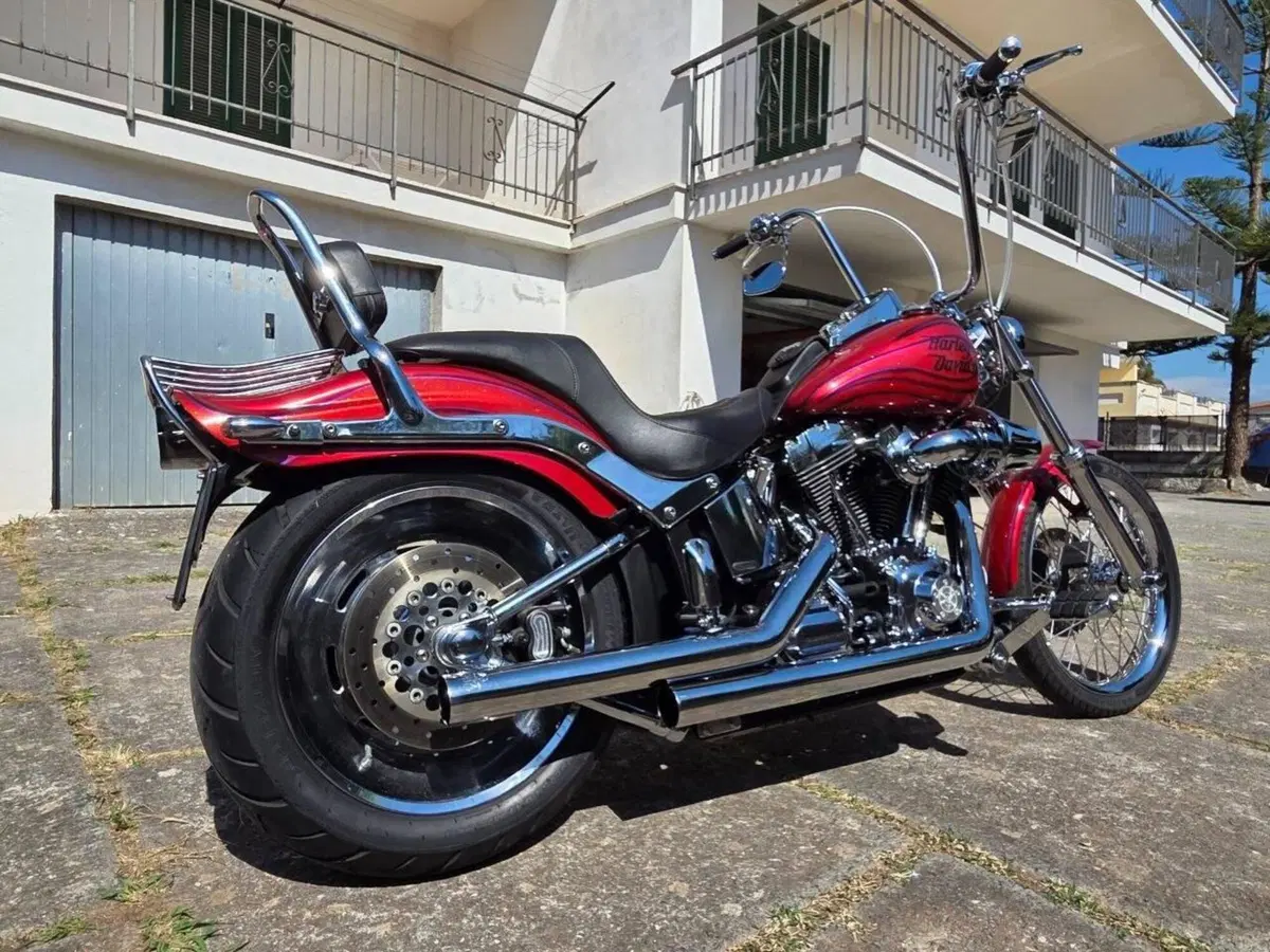 Harley-Davidson 1584 Custom (2008 - 09) - FXSTC (4)