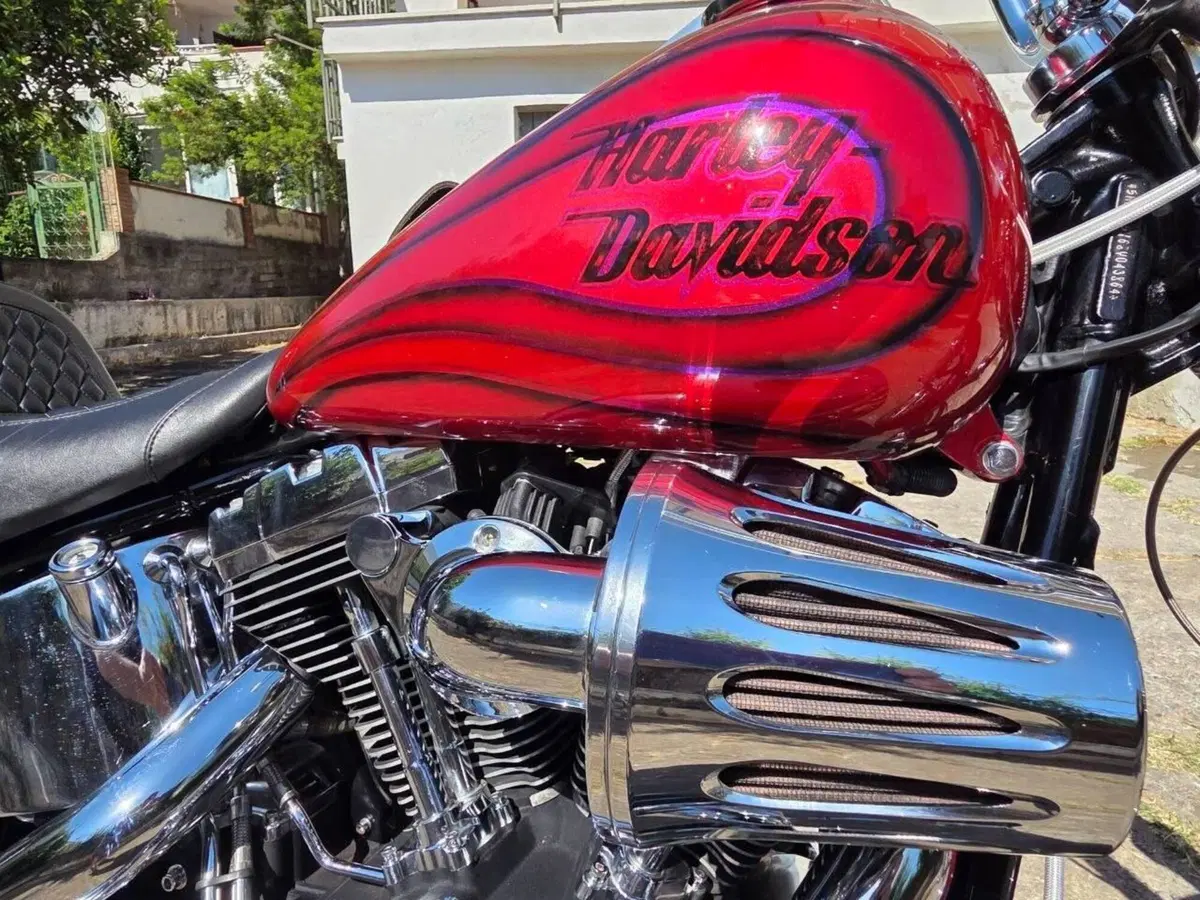 Harley-Davidson 1584 Custom (2008 - 09) - FXSTC (6)