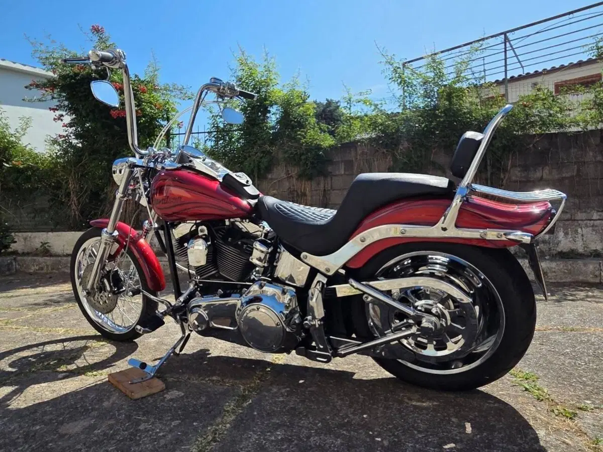 Harley-Davidson 1584 Custom (2008 - 09) - FXSTC (7)