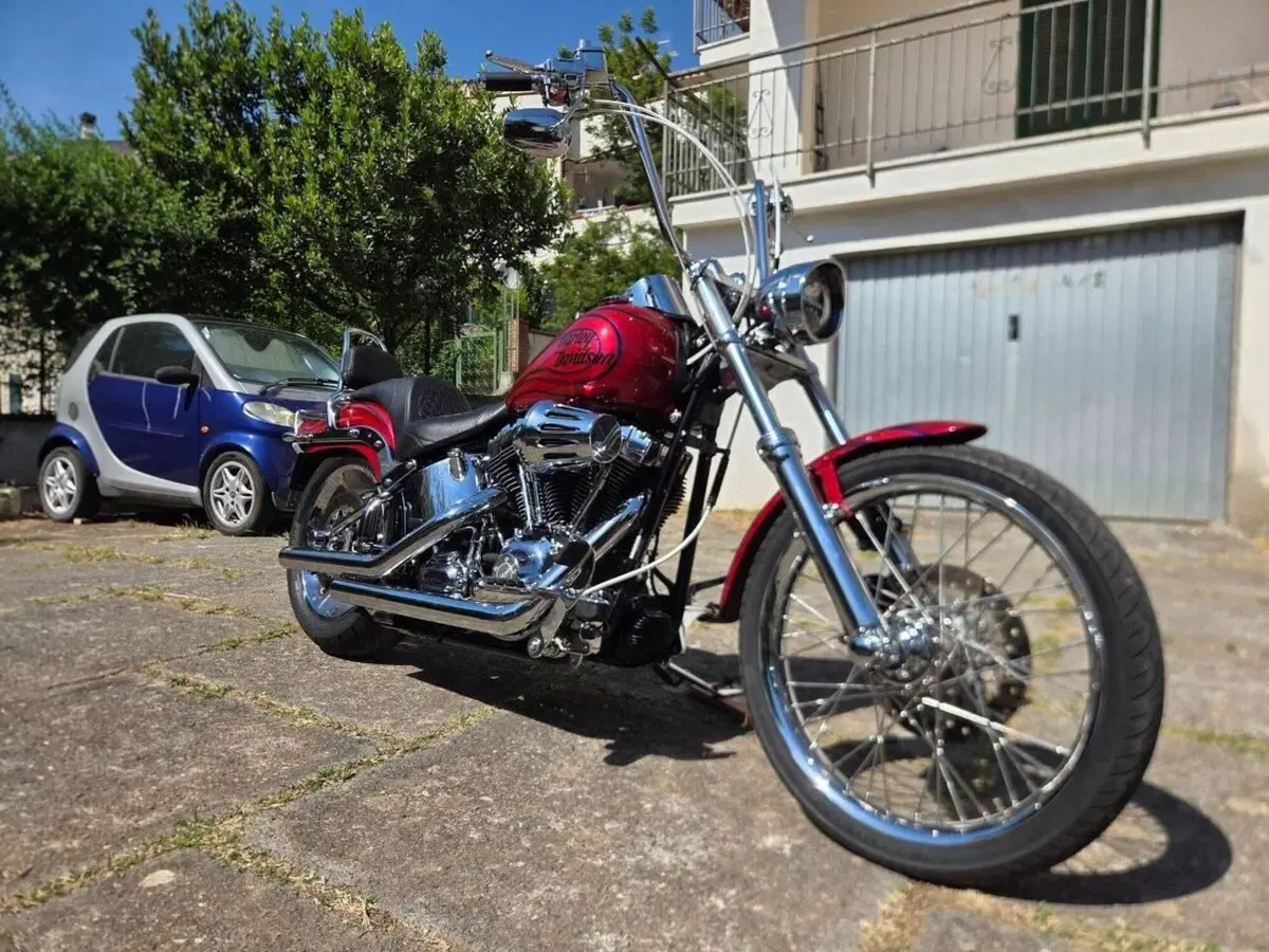 Harley-Davidson 1584 Custom (2008 - 09) - FXSTC (8)