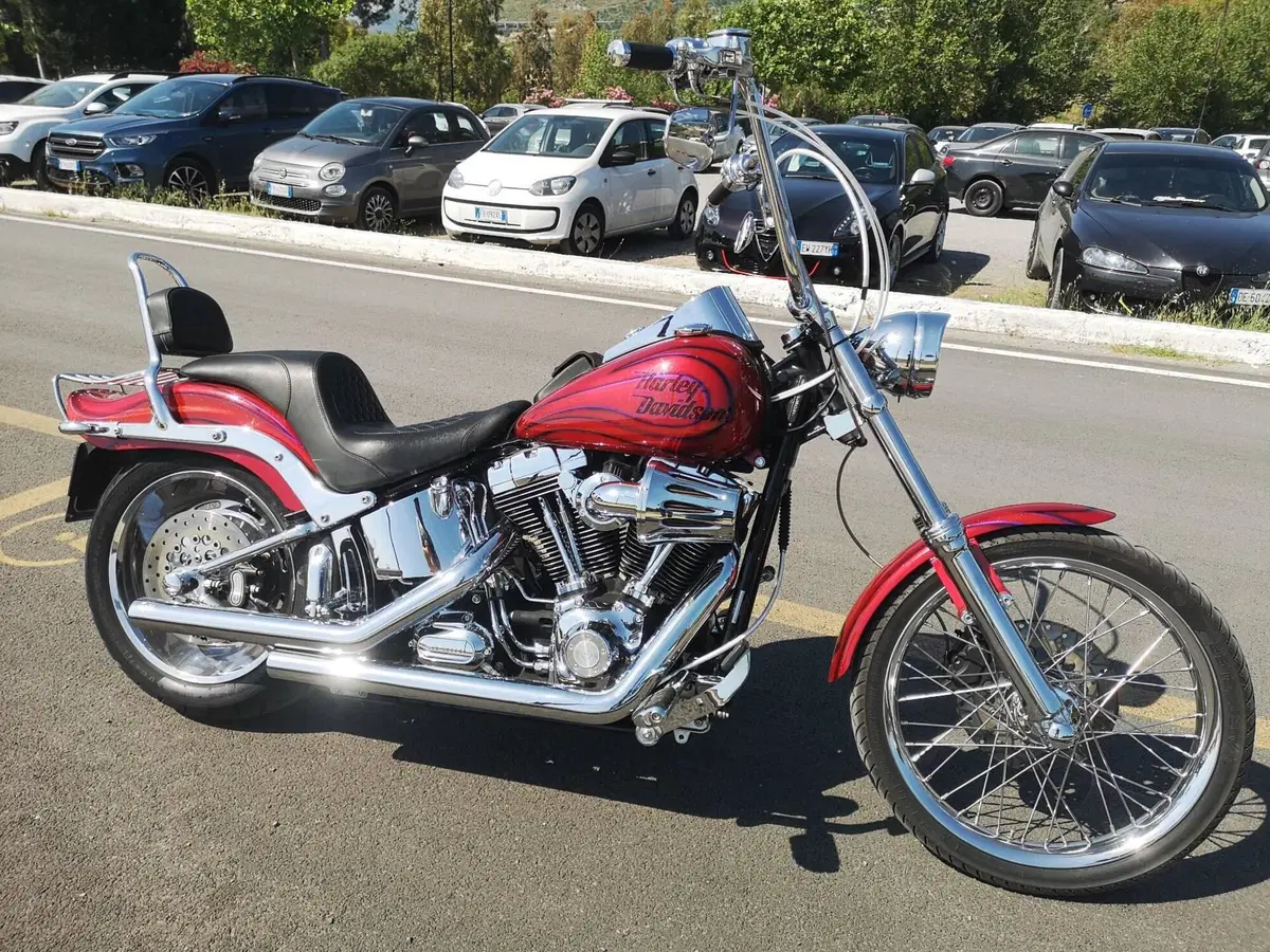 Harley-Davidson 1584 Custom (2008 - 09) - FXSTC (9)