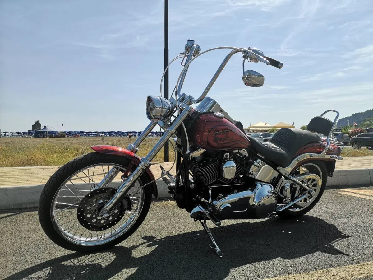 Harley-Davidson 1584 Custom (2008 - 09) - FXSTC (10)
