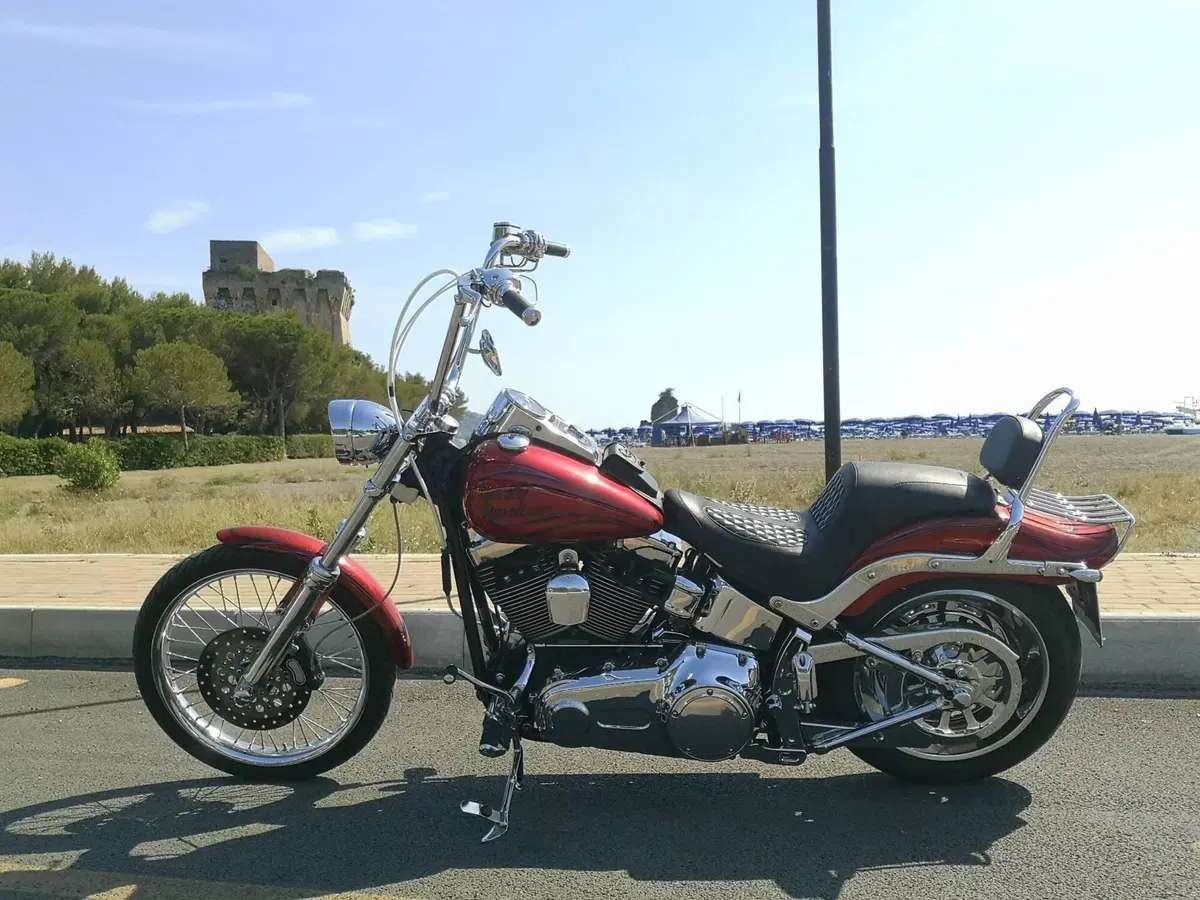 Harley-Davidson 1584 Custom (2008 - 09) - FXSTC (12)