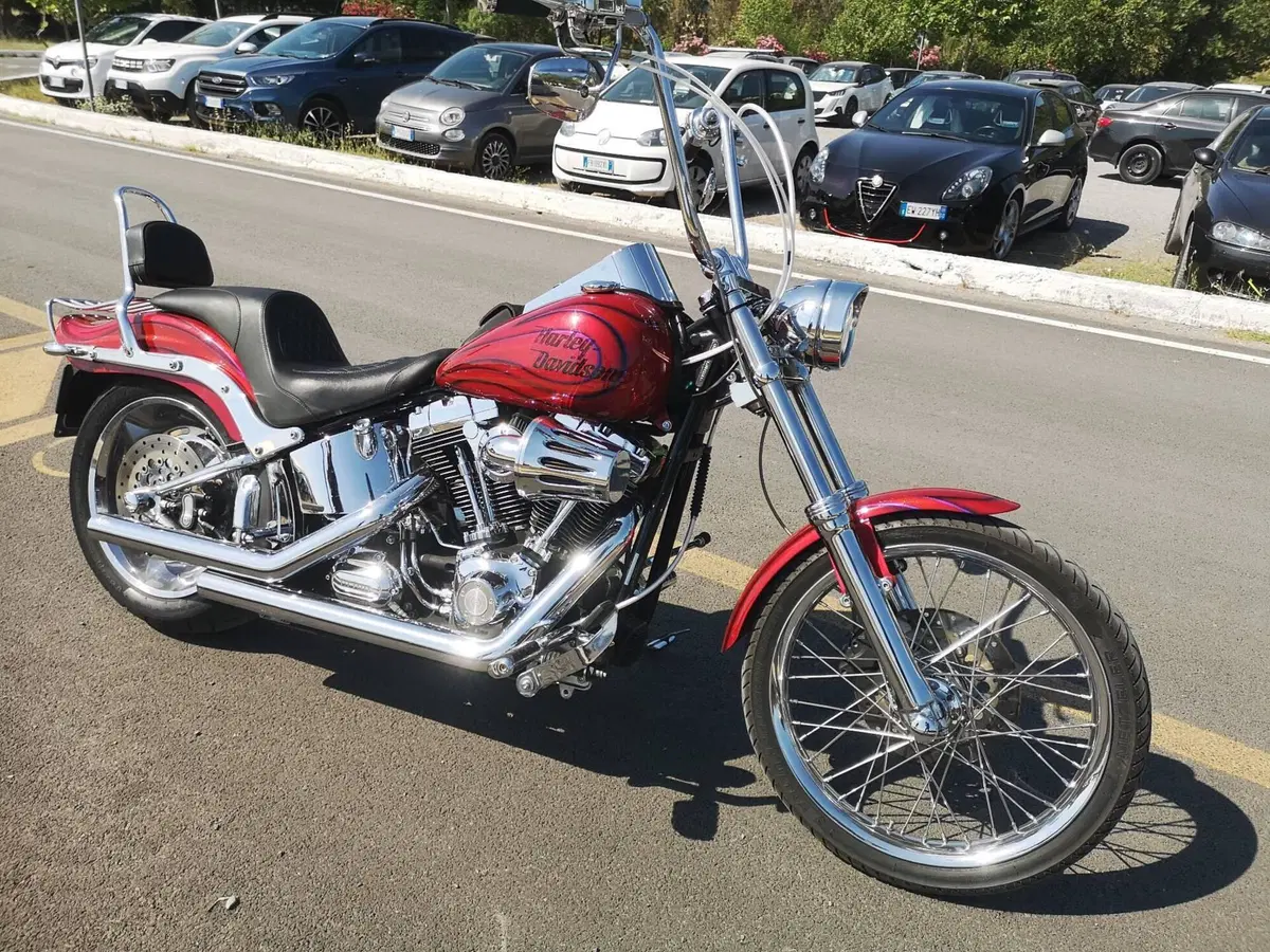Harley-Davidson 1584 Custom (2008 - 09) - FXSTC (13)