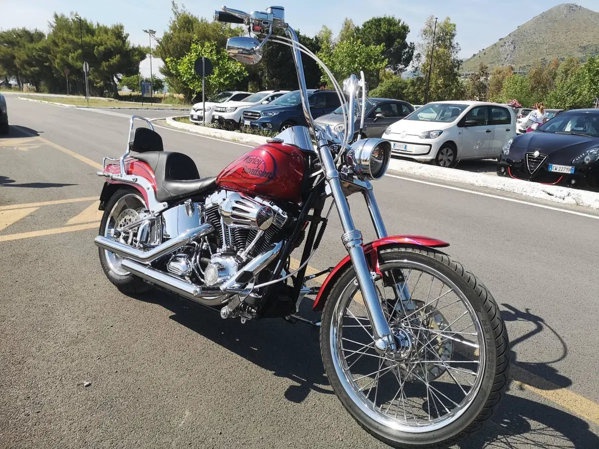Harley-Davidson 1584 Custom (2008 - 09) - FXSTC (17)