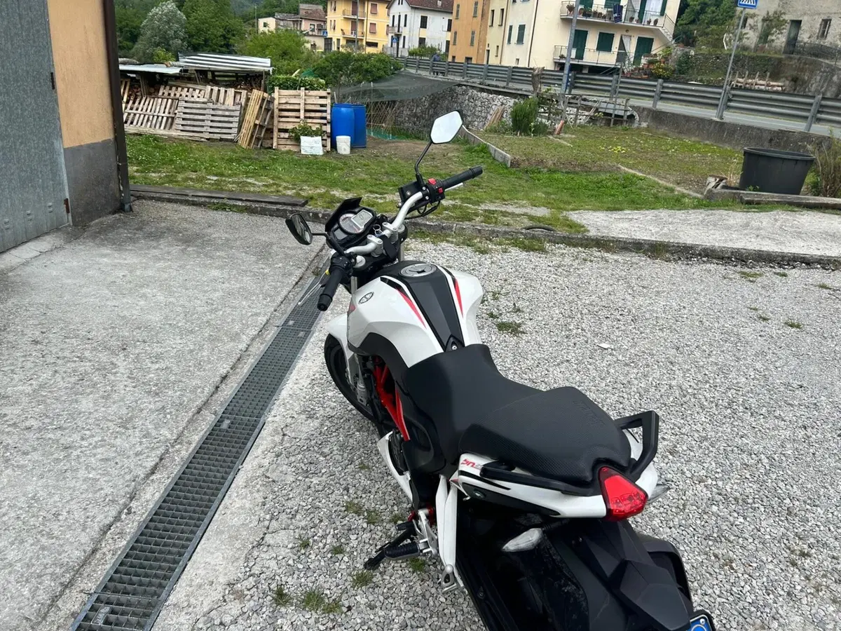 Benelli BN 251 (2017 - 20) (8)