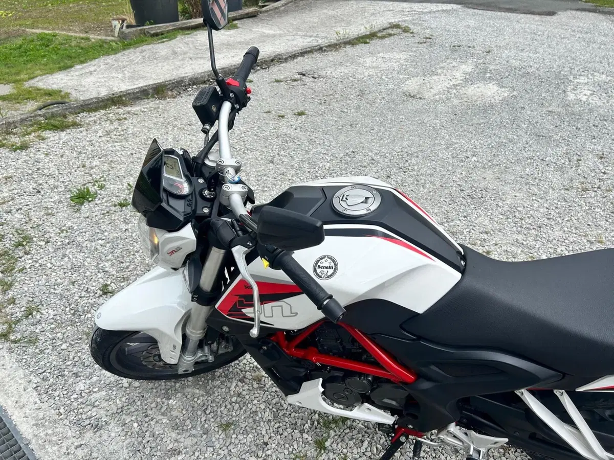 Benelli BN 251 (2017 - 20) (9)
