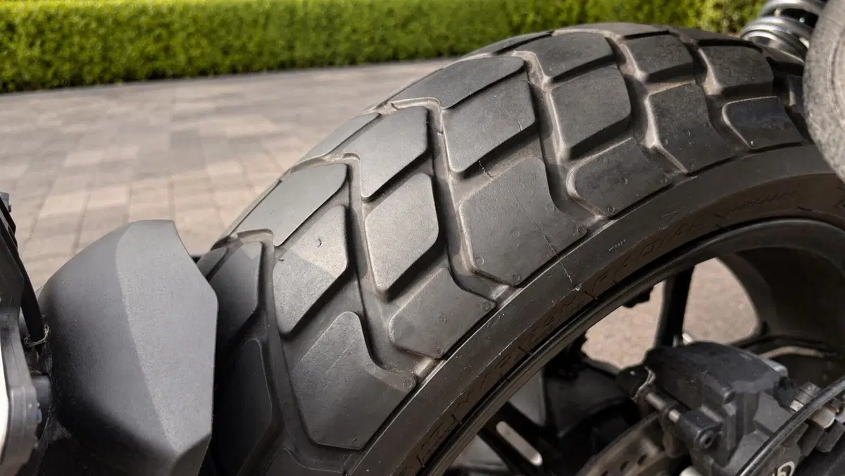 Ducati Scrambler 800 Icon (2021 - 22) (6)