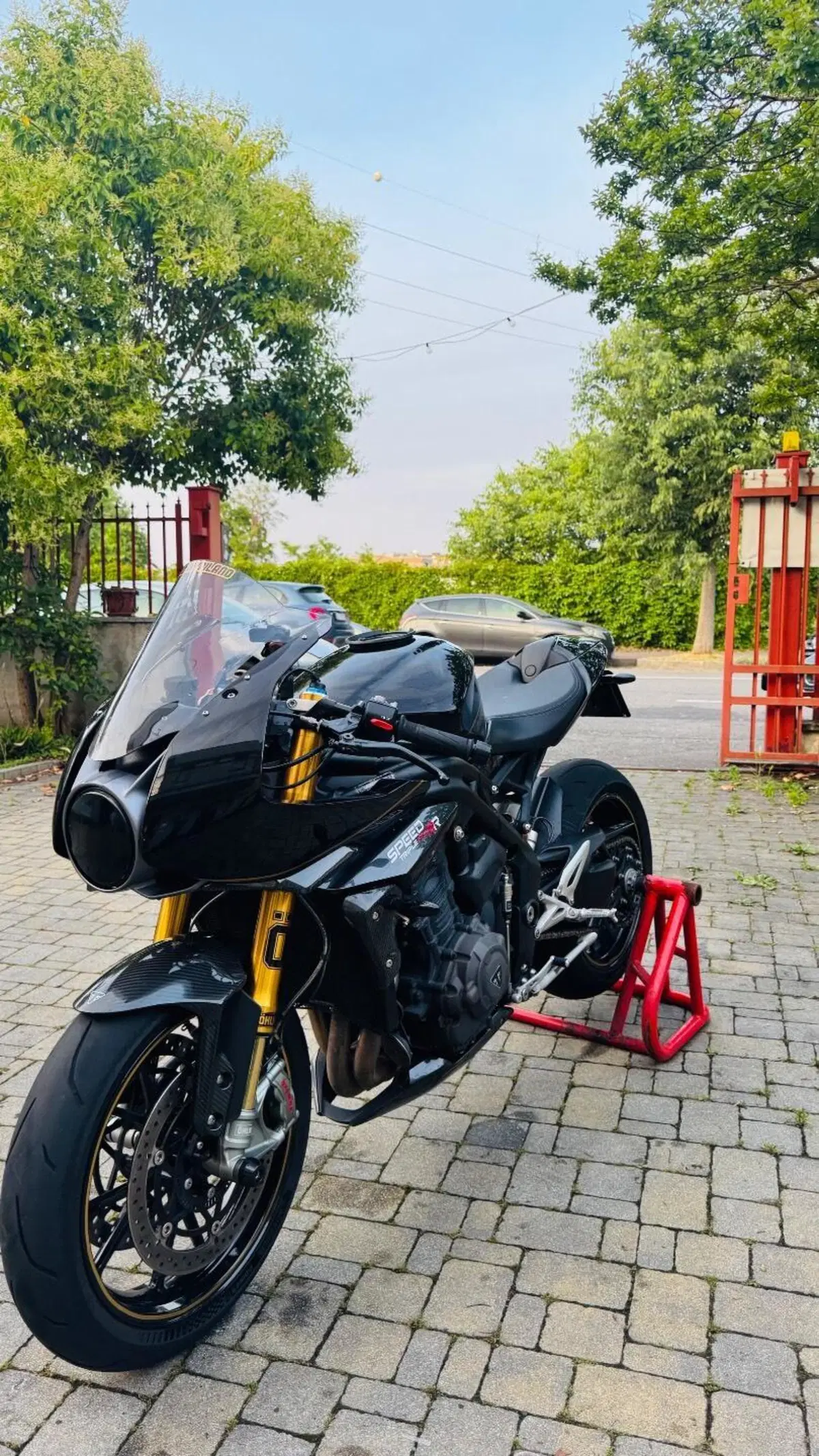 Triumph Speed Triple 1200 RR (2022 - 26) (2)