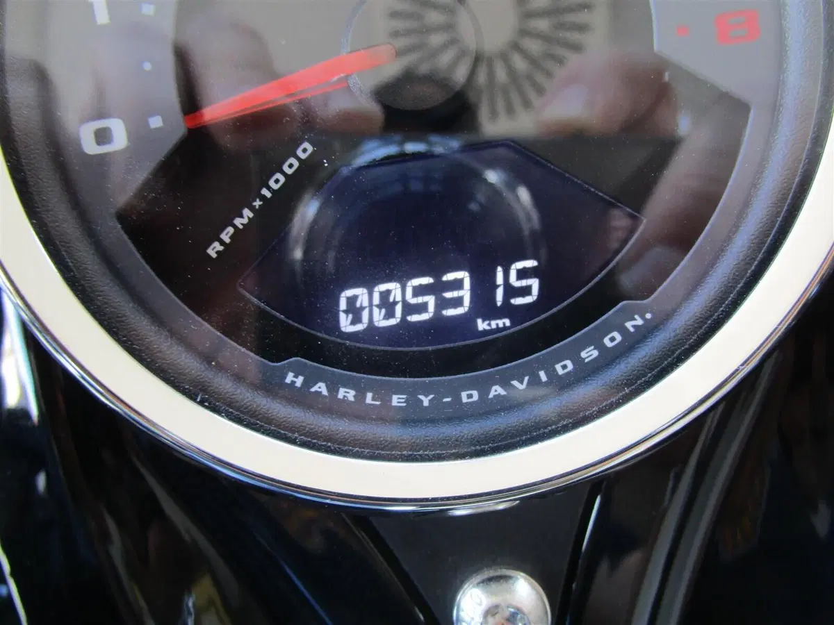 Harley-Davidson Fat Bob 114 (2021 - 25) (9)