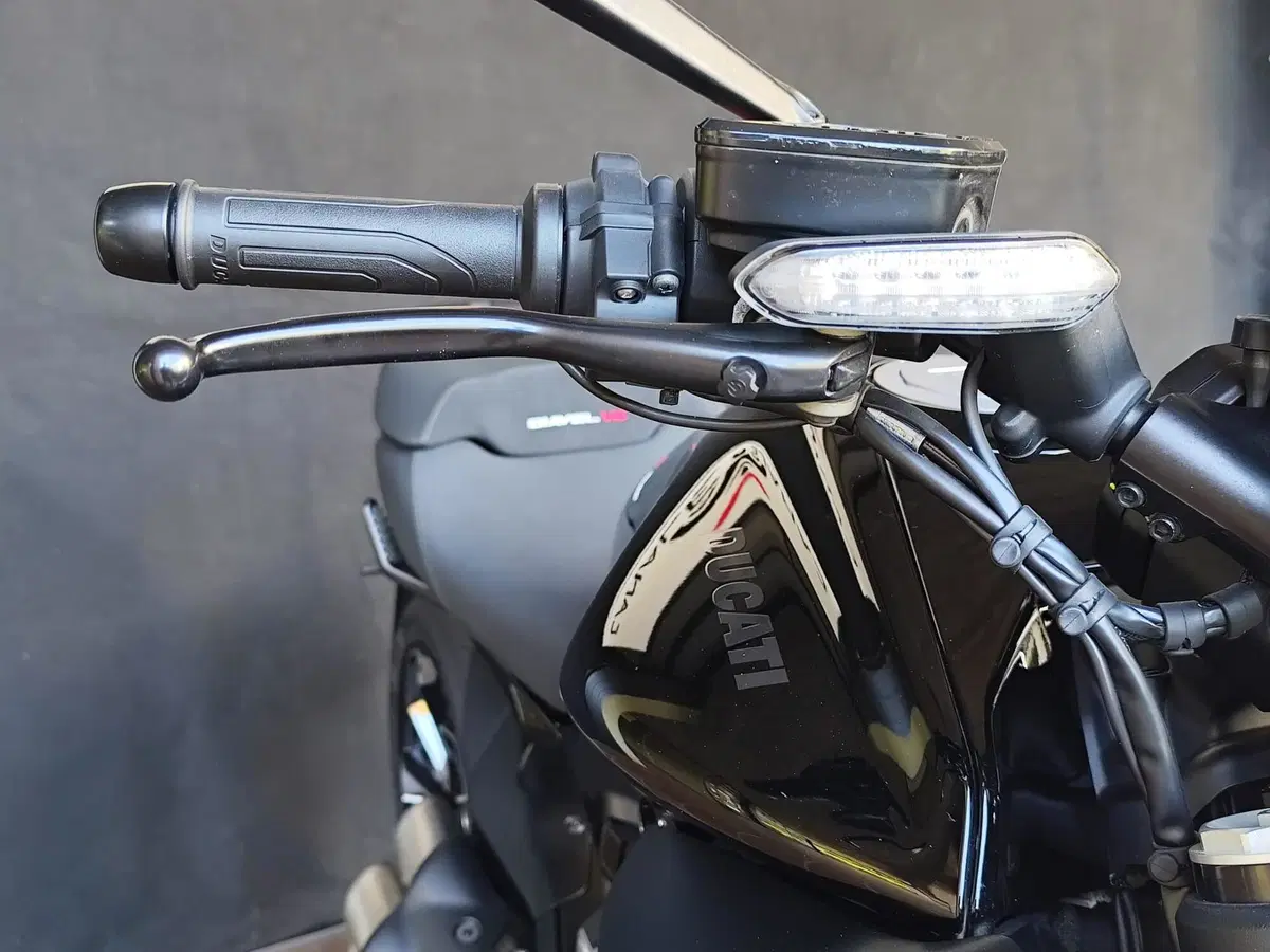 Ducati Diavel V4 (2023 - 26) (19)