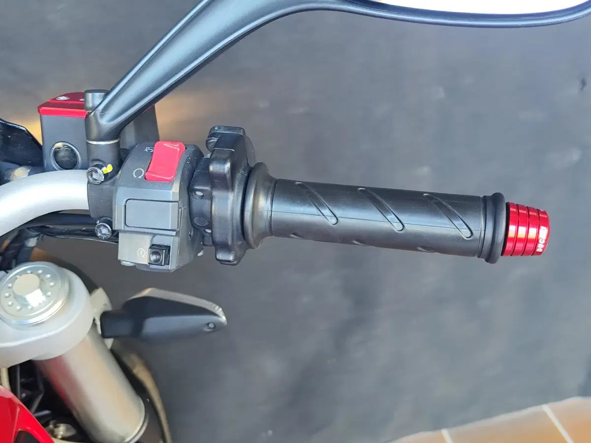 Ducati Monster 796 (2010 - 13) (16)