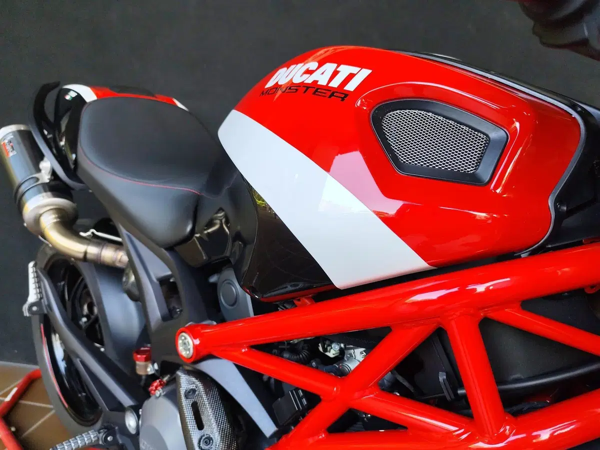 Ducati Monster 796 (2010 - 13) (19)