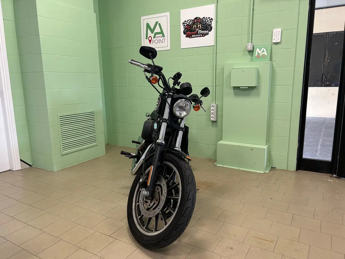 Harley-Davidson 883 R (2008 - 16) - XL 883R (3)