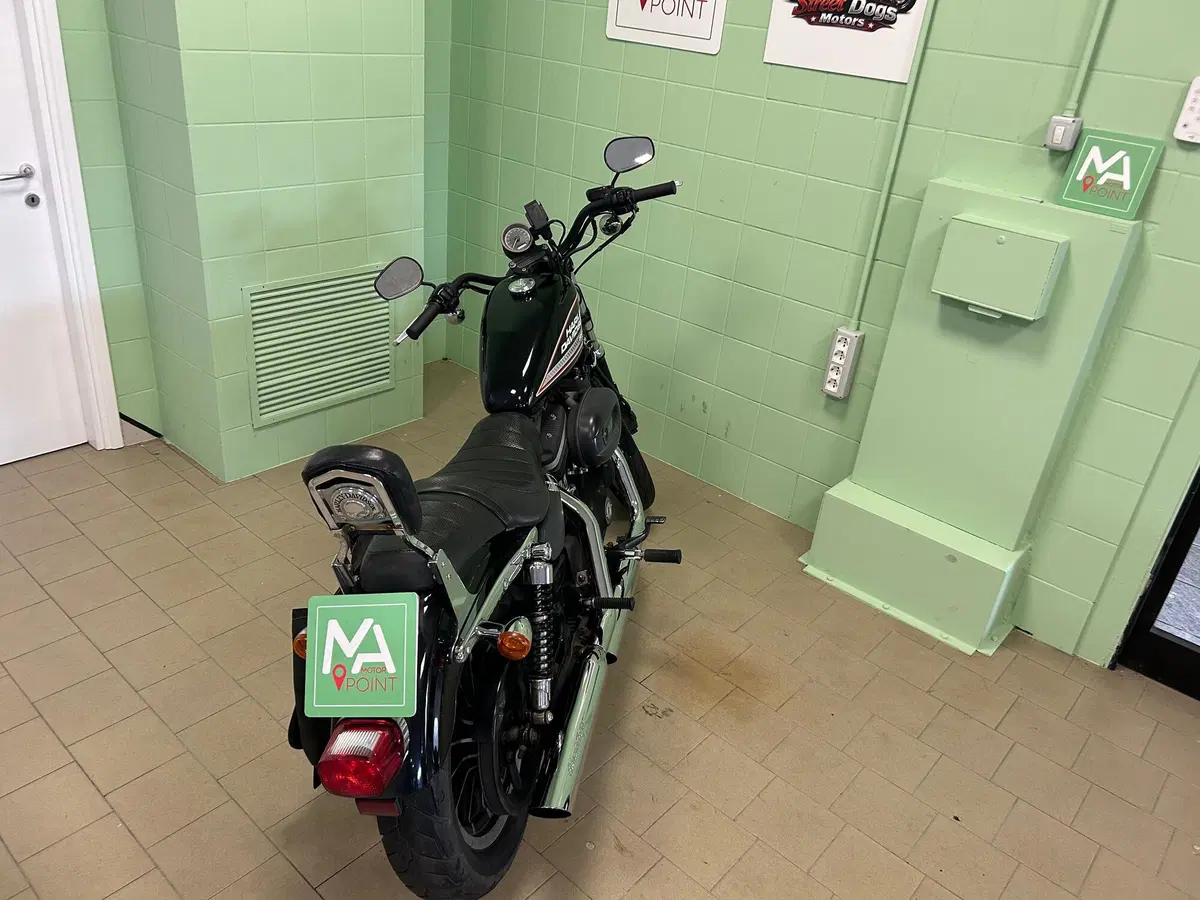Harley-Davidson 883 R (2008 - 16) - XL 883R (19)