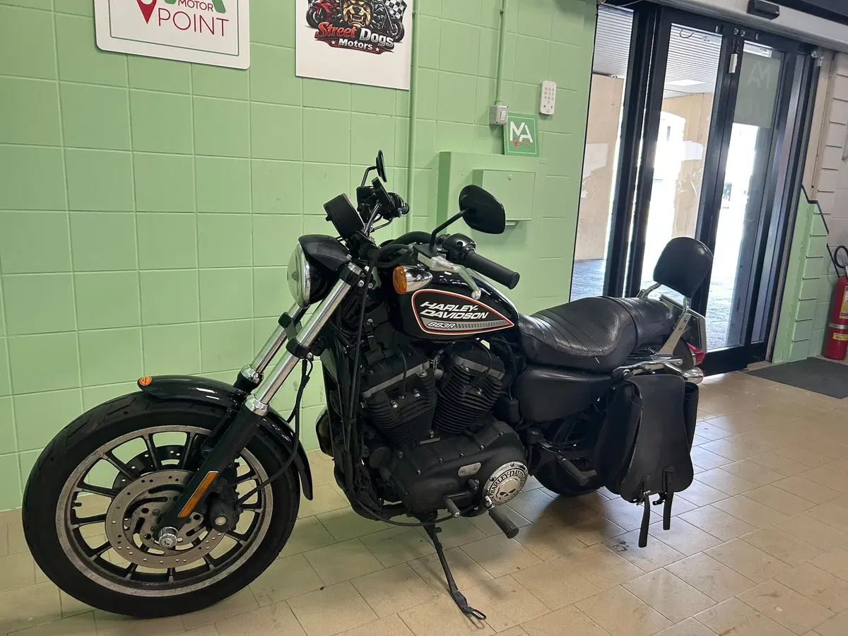 Harley-Davidson 883 R (2008 - 16) - XL 883R (20)