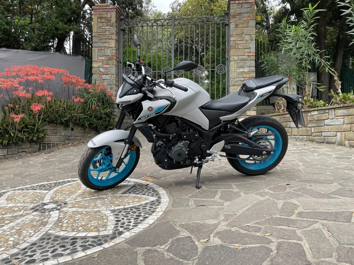 Yamaha MT-03 (2025 - 26)