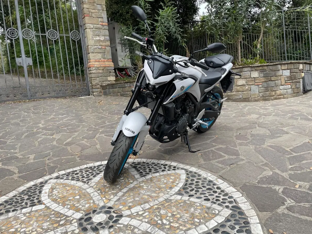Yamaha MT-03 (2025 - 26) (2)