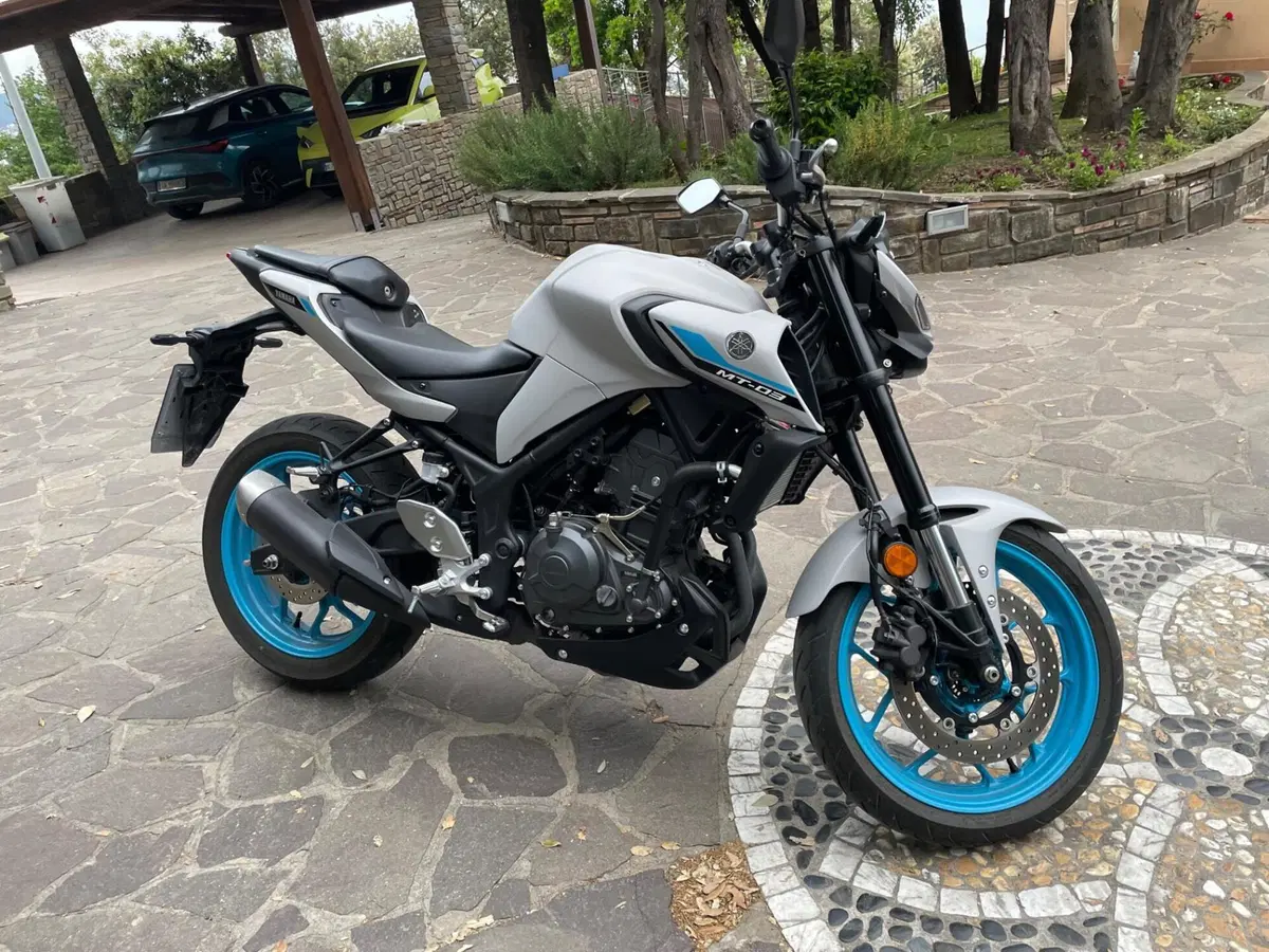 Yamaha MT-03 (2025 - 26) (3)