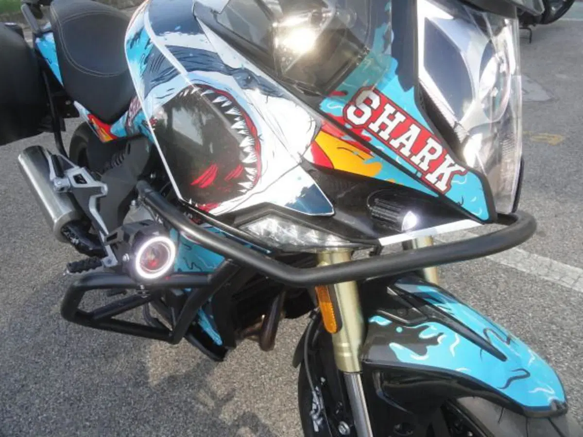 CFMOTO 650MT (2021 - 24) (10)
